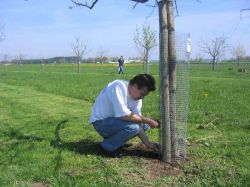 Arbeitseinsatz  2005 04